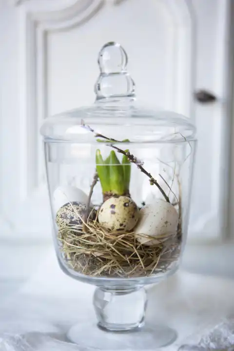 8 February 2023: elegant decoration for Easter in a glass bowl with quail eggs