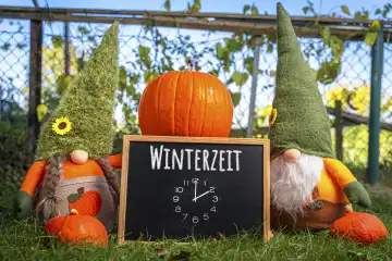 Augsburg, Bavaria, Germany - 11 October 2023: Garden gnomes in garden next to pumpkin with a plaque with text: Winter time. Time change concept with clock PHOTOMONTAGE
