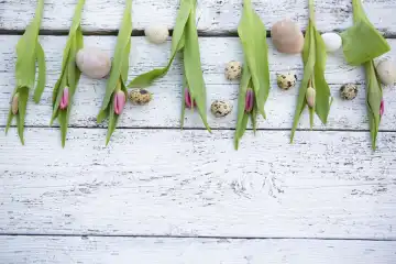 Hintergrund aus Holz mit Textfreiraum mit bunten Tulpen und Wachteleiern. Symbolbild Ostern