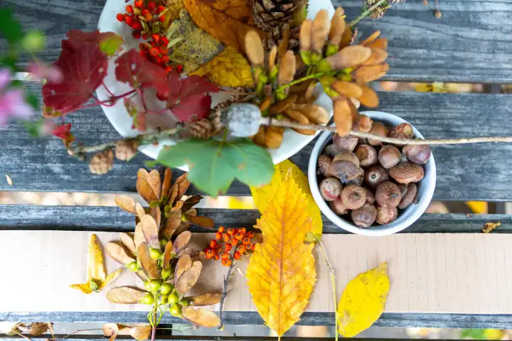 Herbstliches Basteln: Natürliche Materialien auf einem Holztisch. Mischung aus bunten Blättern, Eicheln und Beeren