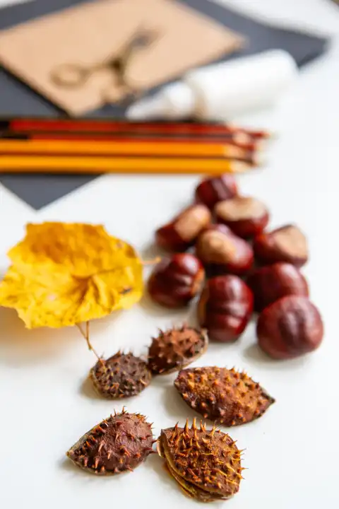 Herbstliche Bastelmaterialien: Kastanien, Blätter und Stifte. Kunst und Kinder Basteln im Herbst mit Blätter, Kleber und Pappe