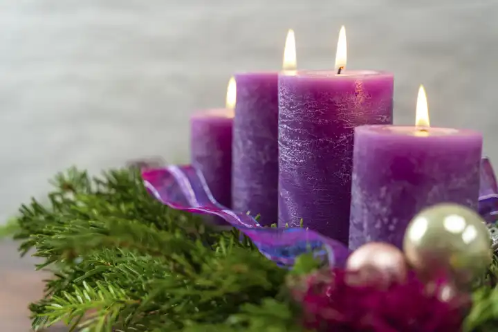 Adventskranz in der Trendfarbe Lila, Vier kerzen brennen auf einem modernen Adventskranz zur Weihnachtszeit