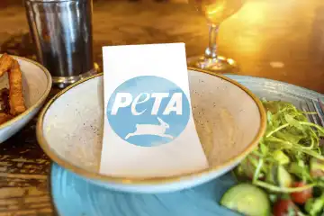 Teller auf einem Tisch, auf dem das Logo der Tierschutzorganisation Peta - People for the Ethical Treatment of Animals zu sehen ist. Konzept für vegan Ernährung im Zusammenhang mit Tierrechten. FOTOMONTAGE