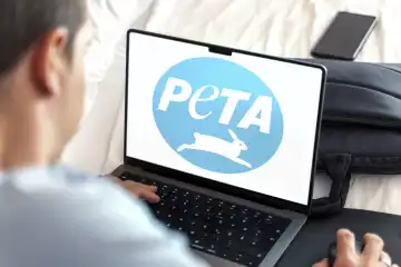 Ein Mann am Computer an einem Laptop, auf dem das Logo der Tierschutzorganisation Peta - People for the Ethical Treatment of Animals zu sehen ist. FOTOMONTAGE