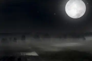 Ein Feld bei Dunkelheit im Schein des Vollmondes, mit Sternen und Nebel. Konzept als Symbol für Vollmond und Mondphasen. FOTOMONTAGE