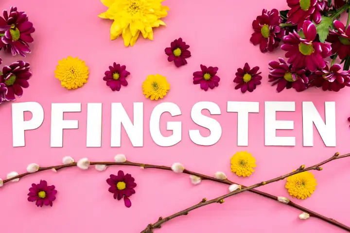 Pfingsten, Gruß zu Pfingsten Text pinkem Hintergrund dekoriert mit bunten Blumen