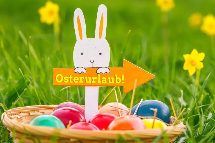 Augsburg, Bavaria, Germany - February 28, 2024: Easter vacation, lettering on an arrow held by an Easter bunny. Nest with colorful eggs on a green meadow with yellow daffodil flowers. Vacation at Easter.FOTOMONTAGE