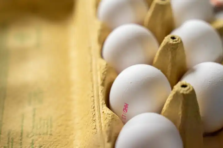 Weiße Eier in einem Eierkarton. Hühnereier