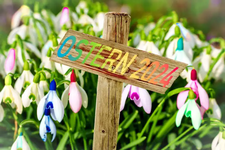 Ostern 2024 Schriftzug auf einem Schild aus Holz, als Ostergrüße vor bunten Schneeglöckchen. FOTOMONTAGE