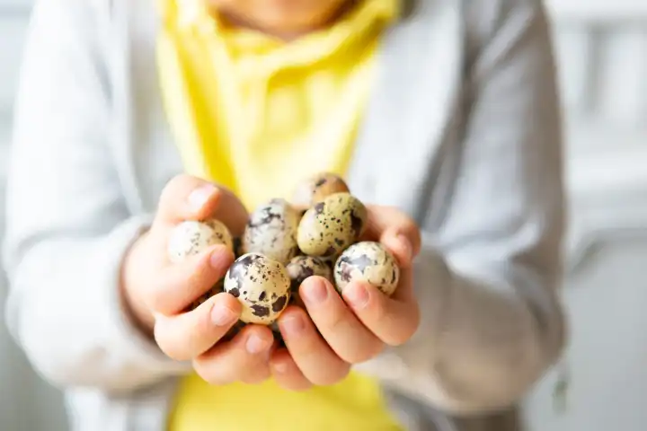 Eiersuche, Kleiner Junge hält mehrere Wachteleier zu Ostern in der Hand. Kind mit selbstgebastelten Hasenohren auf dem Kopf