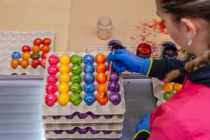 Thannhausen, Bavaria, Germany - 10 March 2024: Employee on the assembly line at the Beham egg dyeing plant in Thannhausen in Bavaria paints dyed Easter eggs with brush and paint according to