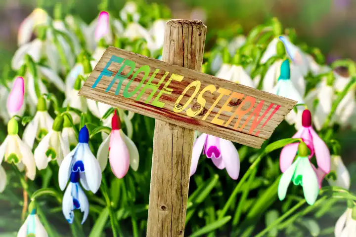 Gruß zu Ostern, auf einem Schild aus Holz, FROHE OSTERN, vor bunten Schneeglöckchen. FOTOMONTAGE