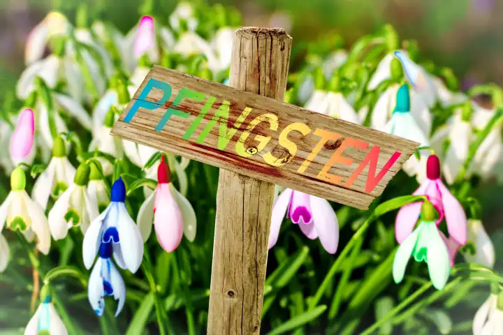 10 March 2024: Whitsun, wooden sign in a meadow with colorful snowdrops. PHOTOMONTAGE
