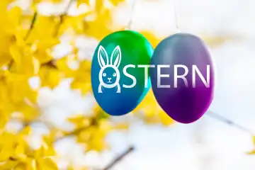 15 March 2024: Easter, inscription on colorful eggs hanging in a tree in spring. PHOTOMONTAGE