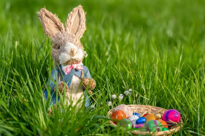 Augsburg, Bavaria, Germany - 19 March 2024: Easter bunny with an Easter nest filled with colorful eggs in a green meadow