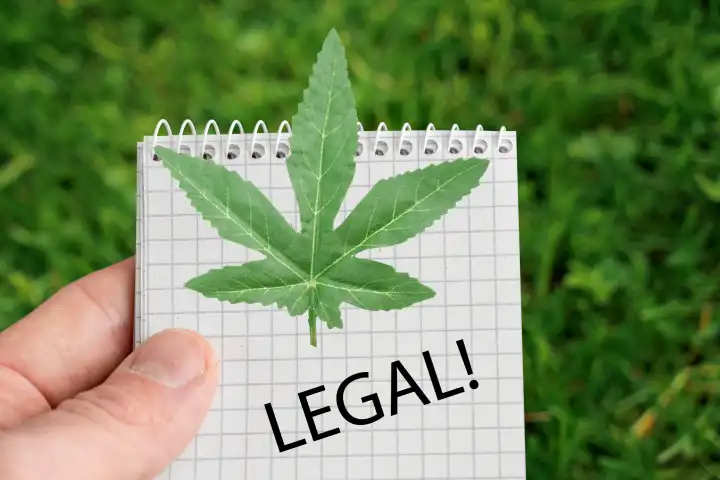 Cannabis-Legalisierung am 01.04.2024 in Deutschland. Symbolbild für den legalen Erwerb, Anbau und Konsum von Cannabis. Fotomontage