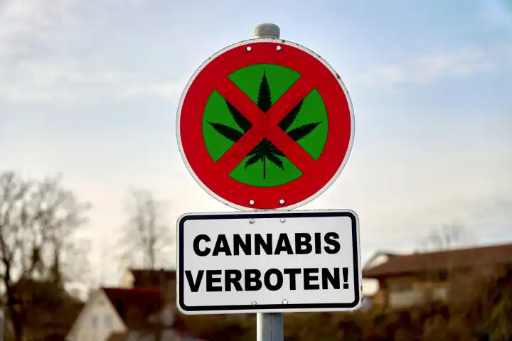 Cannabis Verbotsschild, Schild mit durchgestrichenem Hanfblatt und dem Schriftzug: Cannabis Verboten! FOTOMONTAGE
