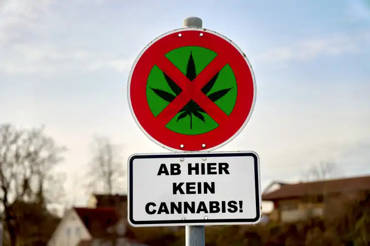 Cannabis Verbotsschild, Schild mit durchgestrichenem Hanfblatt und dem Schriftzug: Ab hier kein Cannabis! FOTOMONTAGE