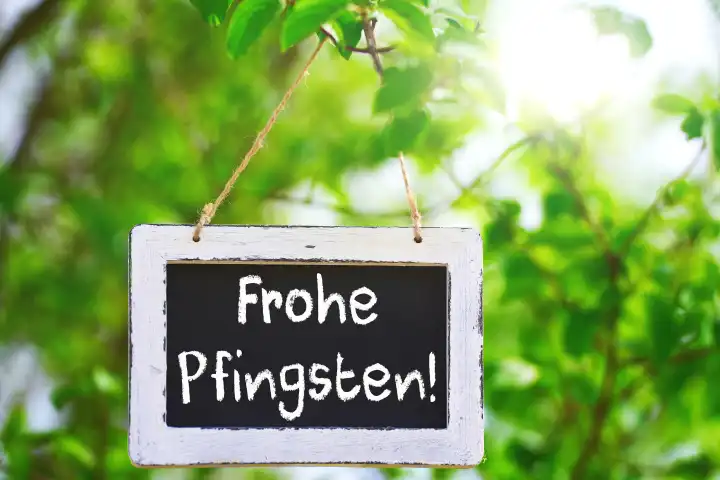 Pfingstgruß: Frohe Pfingsten! Schriftzug auf einer Tafel die in einem grünen Baum bei Sonnenschein hängt. FOTOMONTAGE