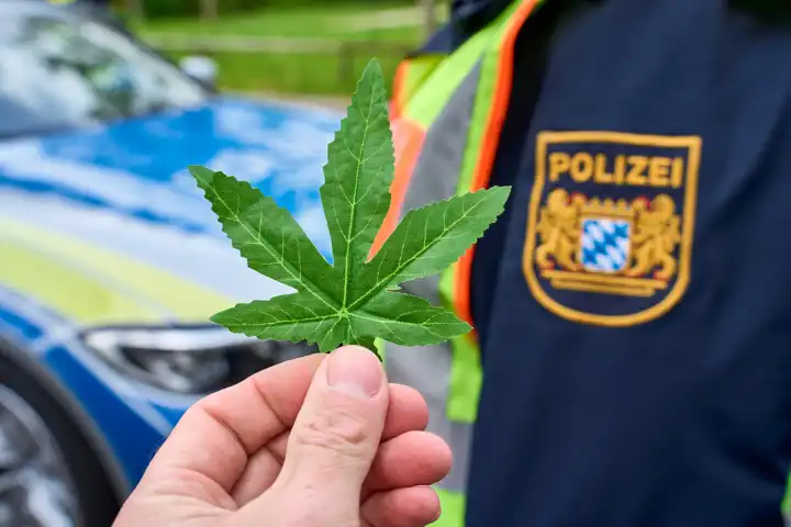 Hand hält ein Cannabisblatt vor einen Polizist mit Logo der bayerischen Polizei. Symbolbild Drogenkontrolle