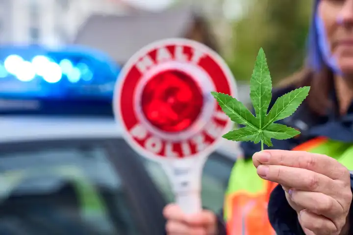 Symbolbild Cannabis Polizeikontrolle. Eine Polizistin hat ein Cannabisblatt in der Hand und eine Polizeikelle mit Aufschrift HALT POLIZEI vor einem Polizeiauto mit Blaulicht
