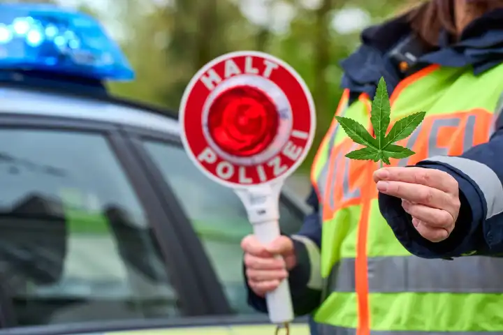 Symbolbild Cannabis Polizeikontrolle. Eine Polizistin hat ein Cannabisblatt in der Hand und eine Polizeikelle mit Aufschrift HALT POLIZEI vor einem Polizeiauto mit Blaulicht