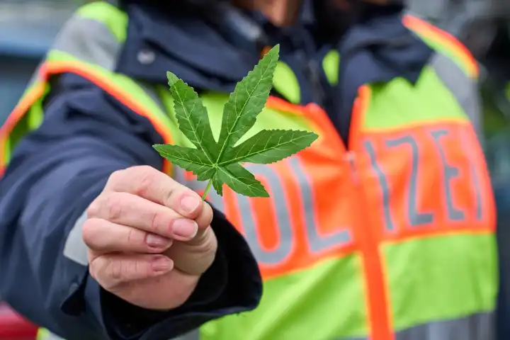 Augsburg, Bavaria, Germany - April 17, 2024: Policewoman holding a cannabis leaf. Symbolic image cannabis legalization and laws