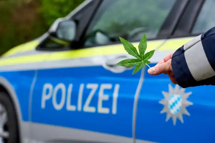 Polizistin hält ein Hanfblatt vor ein Polizeiauto der bayerischen Polizei. Symbolbild Cannabis Legalisierung und Gesetze in Bayern