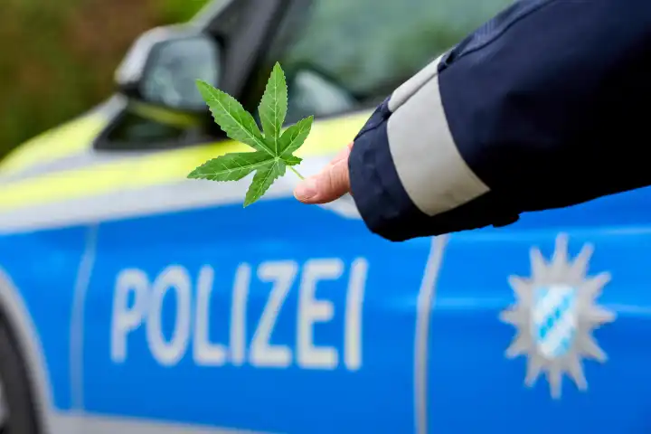 Augsburg, Bavaria, Germany - April 17, 2024: Policewoman holds a cannabis leaf in front of a Bavarian police car. Symbolic image cannabis legalization and laws in Bavaria