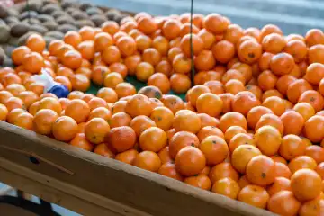 6 December 2023: Clementines or mandarins in a wooden basket at a street vendor
