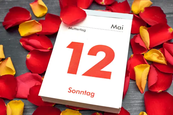 Kalender mit Datum 12 Mai, Muttertag, umgeben von Rosenblättern