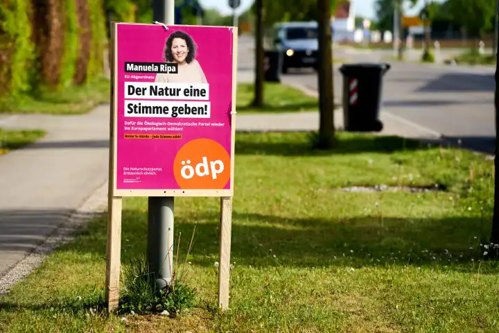 Wahlplakate zur Europawahl 2024. Die Partei ÖDP Ökologisch-Demokratische Partei wirbt mit Plakaten 