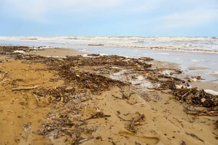 Lido di Jesolo, Italy - 2 May 2024: Littered beach after a storm. The waves have washed up wood and plastic from the sea. Pollution concept