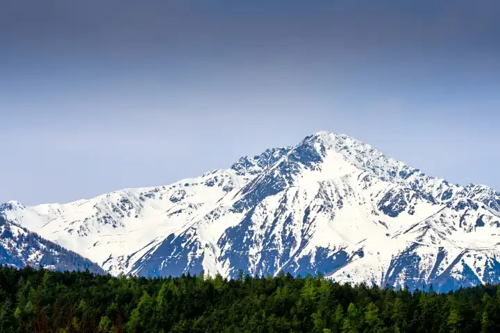 Mit Schnee bedeckte Bergspitze bzw. Berge der Tiroler Alpen mit grünen Bäumen - Alpenbild mit Landschaft