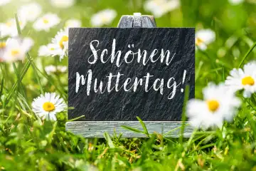Ein Schild in einer Grünen Wiese mit Gänseblümchen mit dem Schriftzug: Schönen Muttertag! FOTOMONTAGE