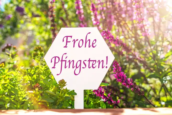 Frohe Pfingsten! Symbolbild Pfingsten. Schild vor Blumen bei Sonnenschein. FOTOMONTAGE