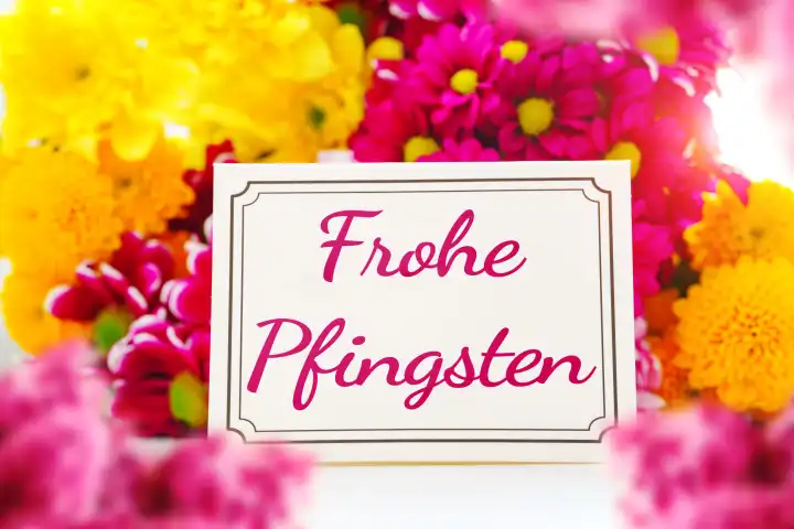 Frohe Pfingsten! Pfingstgruß, auf einer Grußkarte vor pinken und gelben Blumen. Pfingstfest Symbolbild. FOTOMONTAGE