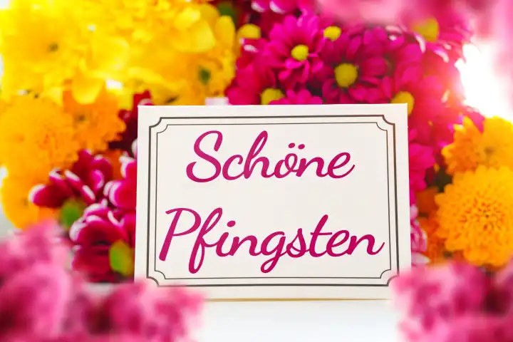 Schöne Pfingsten! Pfingstgruß, auf einer Grußkarte vor pinken und gelben Blumen. Pfingstfest Symbolbild. FOTOMONTAGE