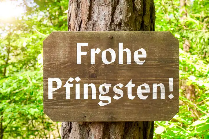 Frohe Pfingsten! Text, Gruß auf einem Holzschild an einem Baum. FOTOMONTAGE