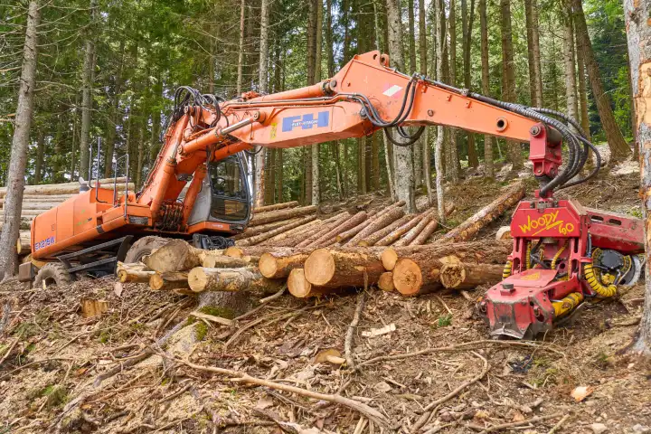 Forstwirtschaftsbagger im Wald mit gestapelten Holzstämmen. Bagger beim abholzen von Baumstämmen in einem Wald