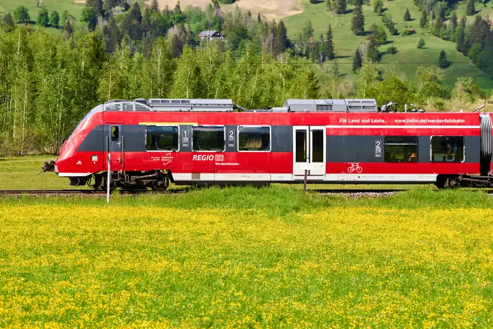 Deutsche Bahn Regionalzug Werdenfelsbahn fährt auf Schienen vor einer grünen Wiese mit gelben Blumen