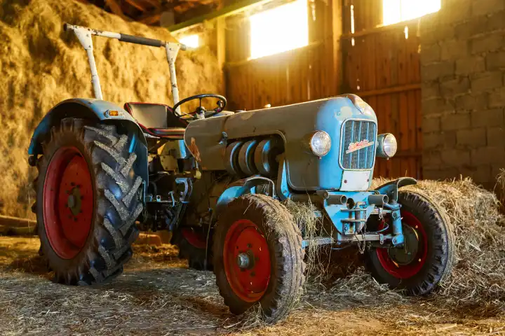 Oltimer Traktor Gebrüder Eicher EM 300 gebaut in den späten 1950er und frühen 1960er Jahren in einer Scheune mit Stroh und Heu auf einem Bauernhof