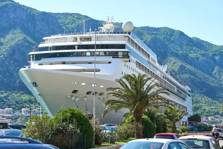 Kreuzfahrtschiff MSC Lirica im Hafen von Kotor in Montenegro vor Palmen. Kreuzfahrt Urlaub Konzept