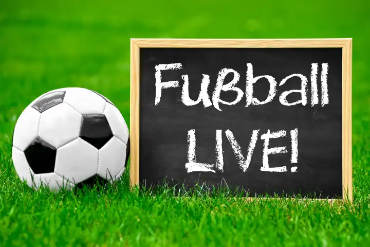 Public Viewing, Symbolbild,  Fußball mit Schild auf Fußballfeld mit Aufschrift: Fußball Live! FOTOMONTAGE