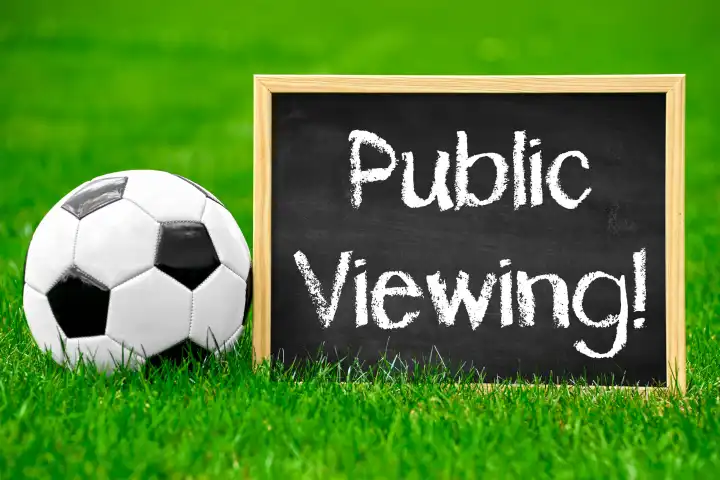 Public Viewing! Fußball mit Schild auf Fußballfeld mit Aufschrift: Public Viewing! FOTOMONTAGE