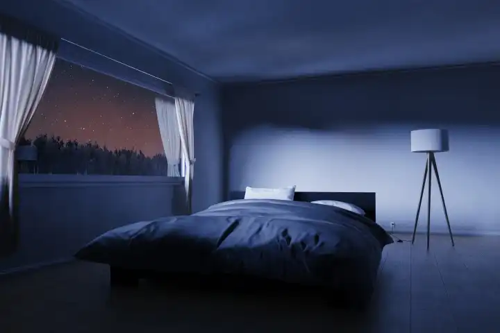 A bedroom with a cozy low bed at night