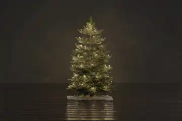 Ein mit Kerzenlicht geschmückter Weihnachtsbaum in einem braunen Raum