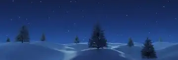 Wellenförmige Schneelandschaft mit weißen Fichten vor einem nächtlichen Sternenhimmel