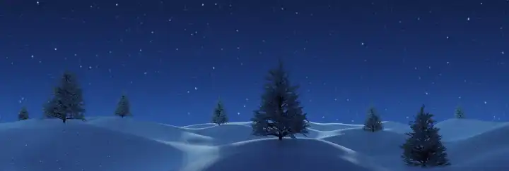 Wavy snowy landscape with white spruce trees against a starry night sky