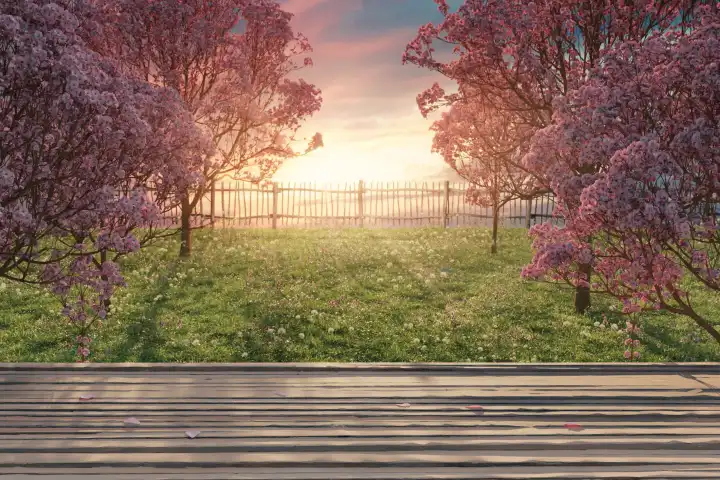 Wooden window sill in front of a beautiful flower meadow, surrounded by Japanese cherry trees in the evening sunlight